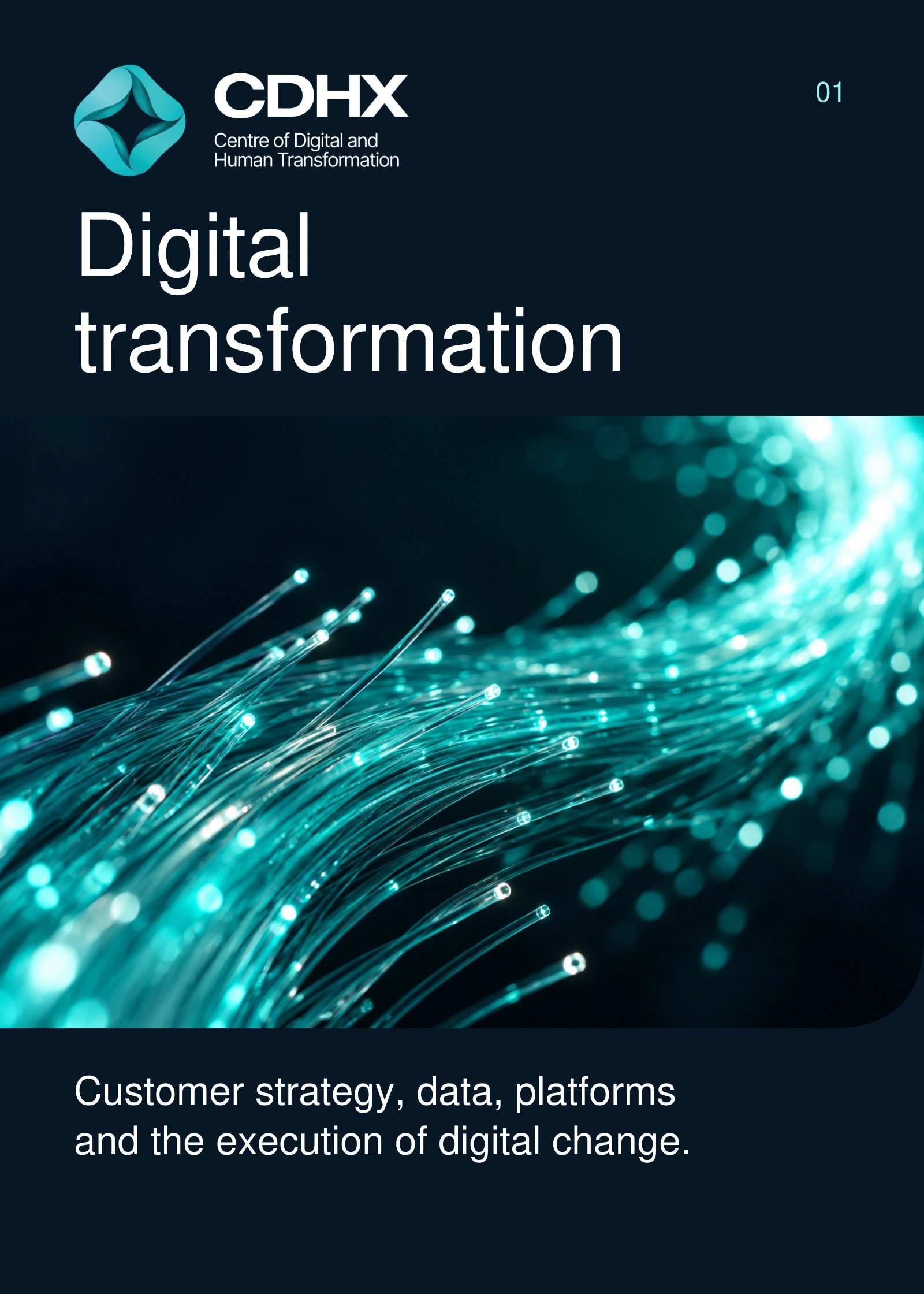 CDHX — Digital transformation. Teal optical fibers carrying light through a dark field.